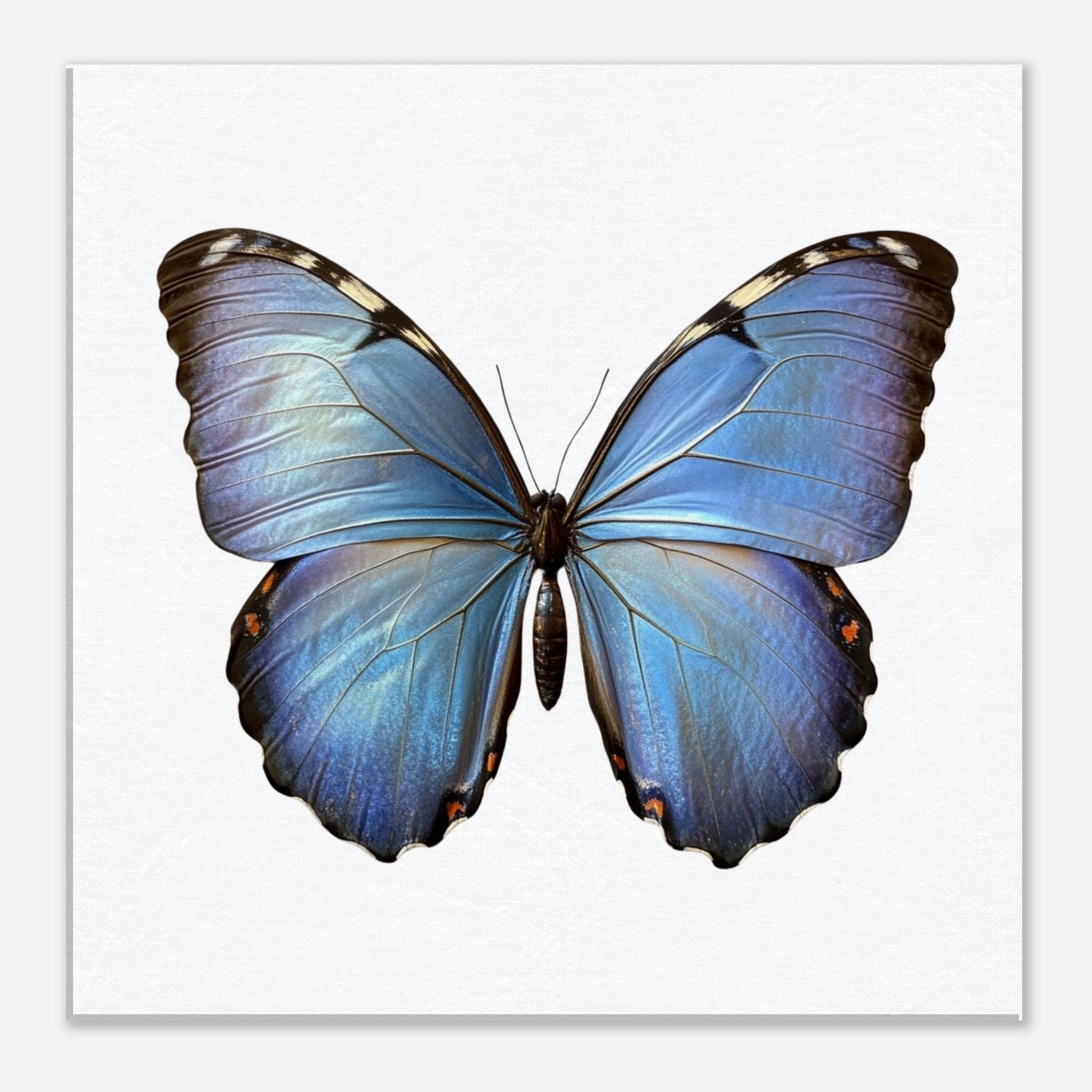 0811eaa7-4ec4-49c5-b464-4c34e919b86f