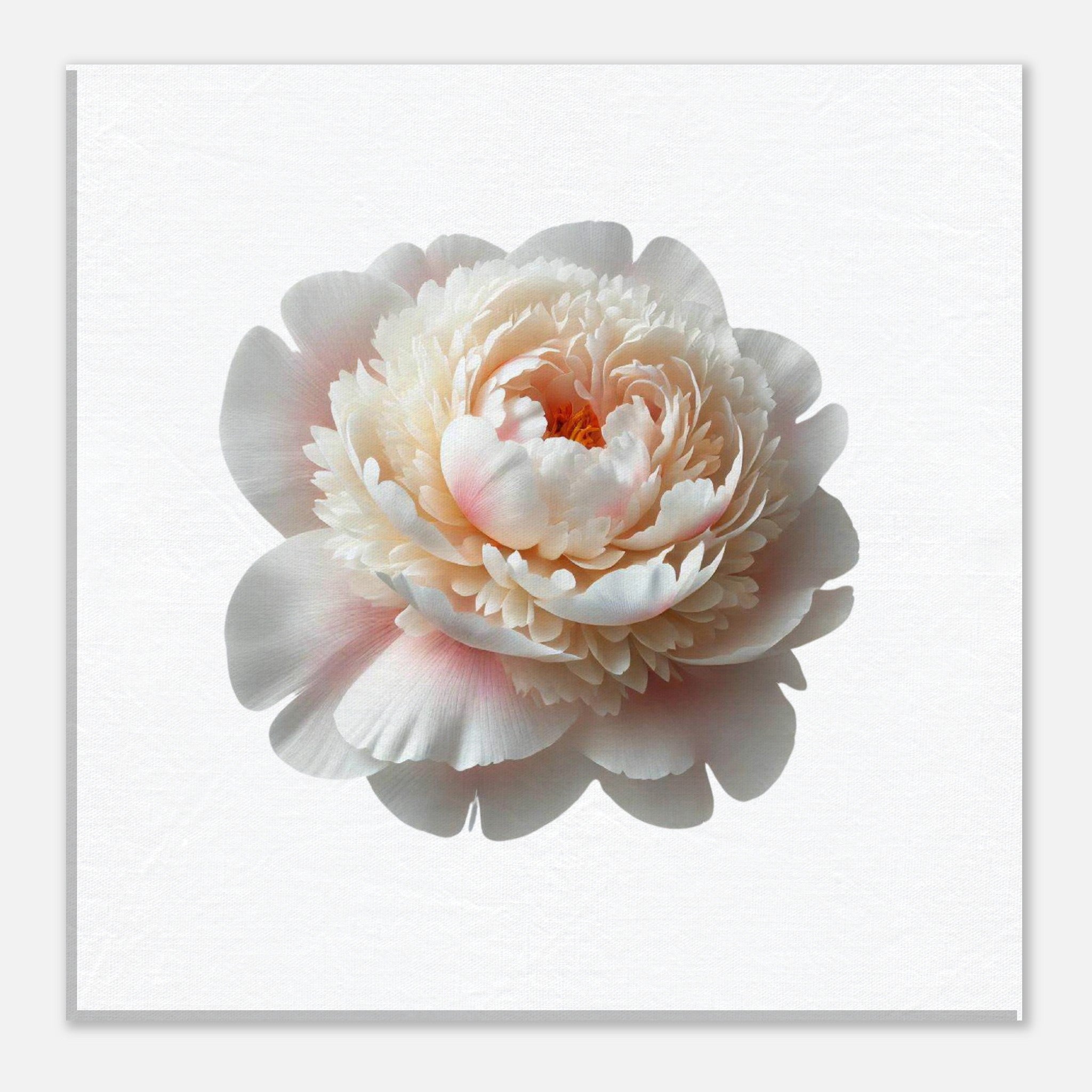 11017c4f-c2dd-4a29-ac99-3c74388384bf