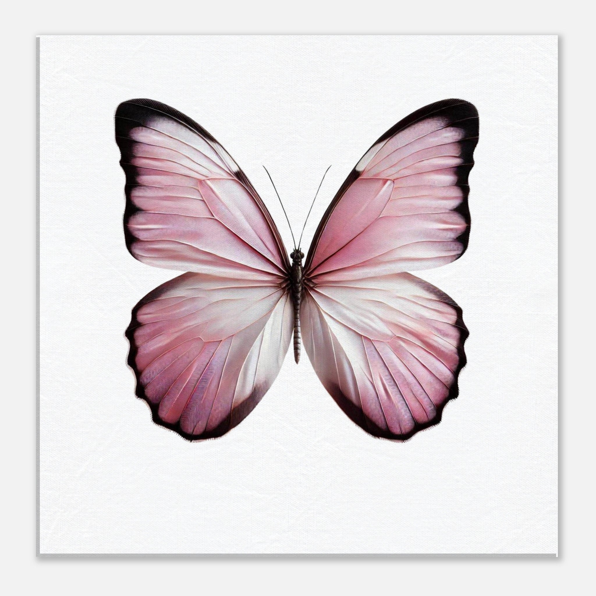 59efb00f-0317-48eb-9124-acbf2c9efb8a