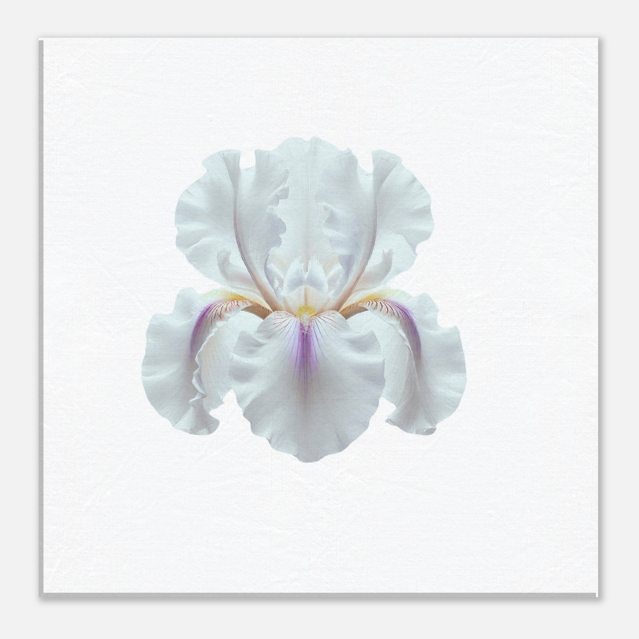 9ab2621e-7f2d-4fa4-904b-0fedaf806d2e