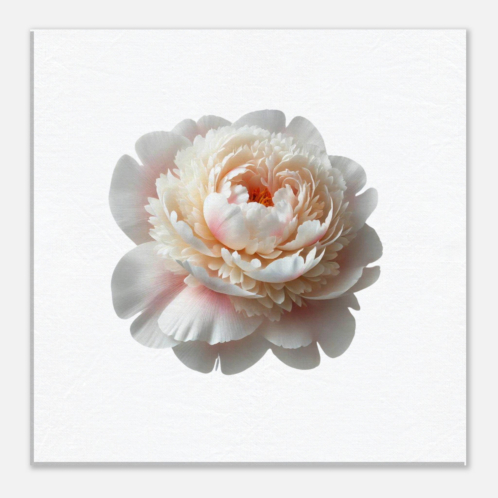 a0d18905-2b9c-4df7-bac8-3c9111e08fc7