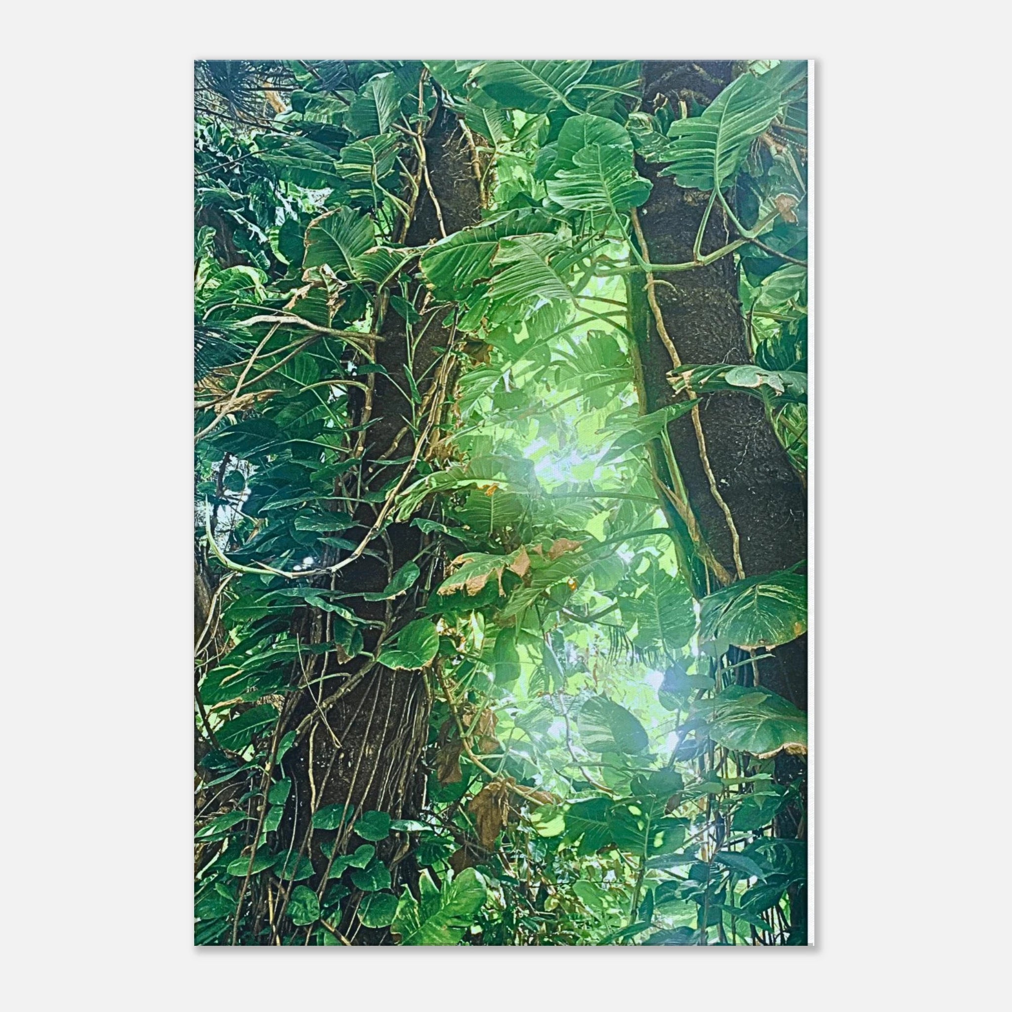 b1dc7115-c58d-4227-afce-060bb4cca95e