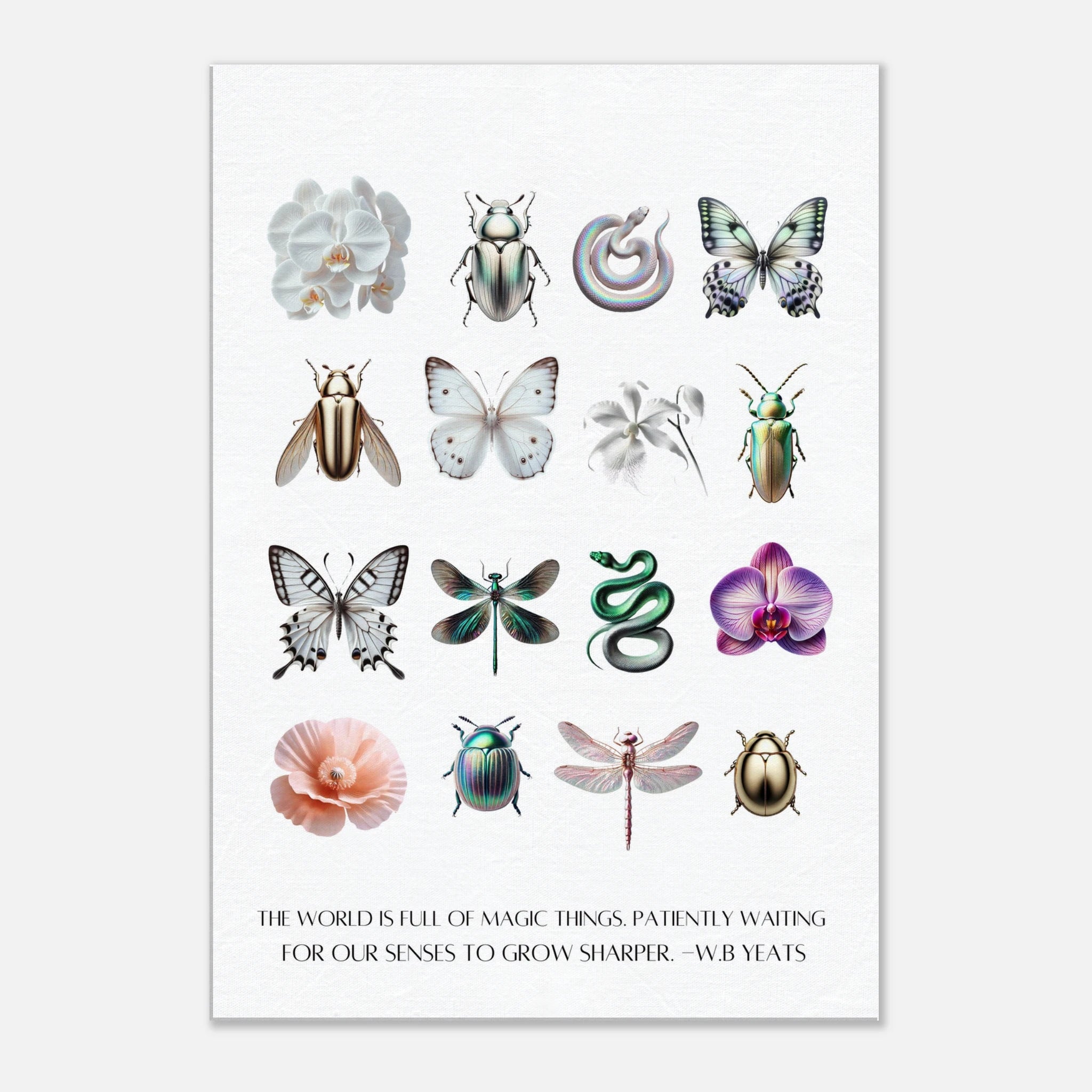 b696be9f-2d3f-4d49-8e05-c70a4cb92863