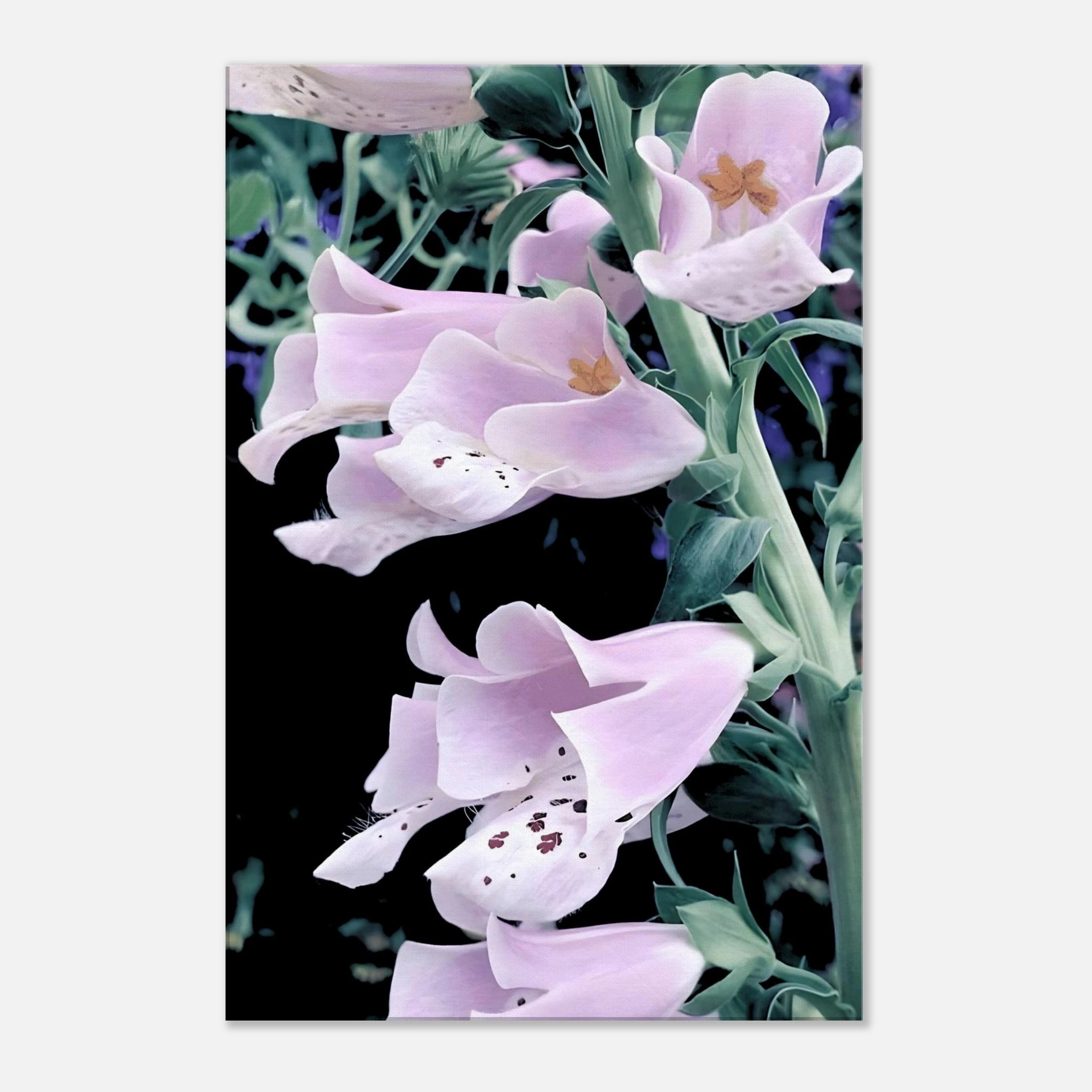 e1bc4e46-0bfe-4eab-b2d3-48b0cd964897