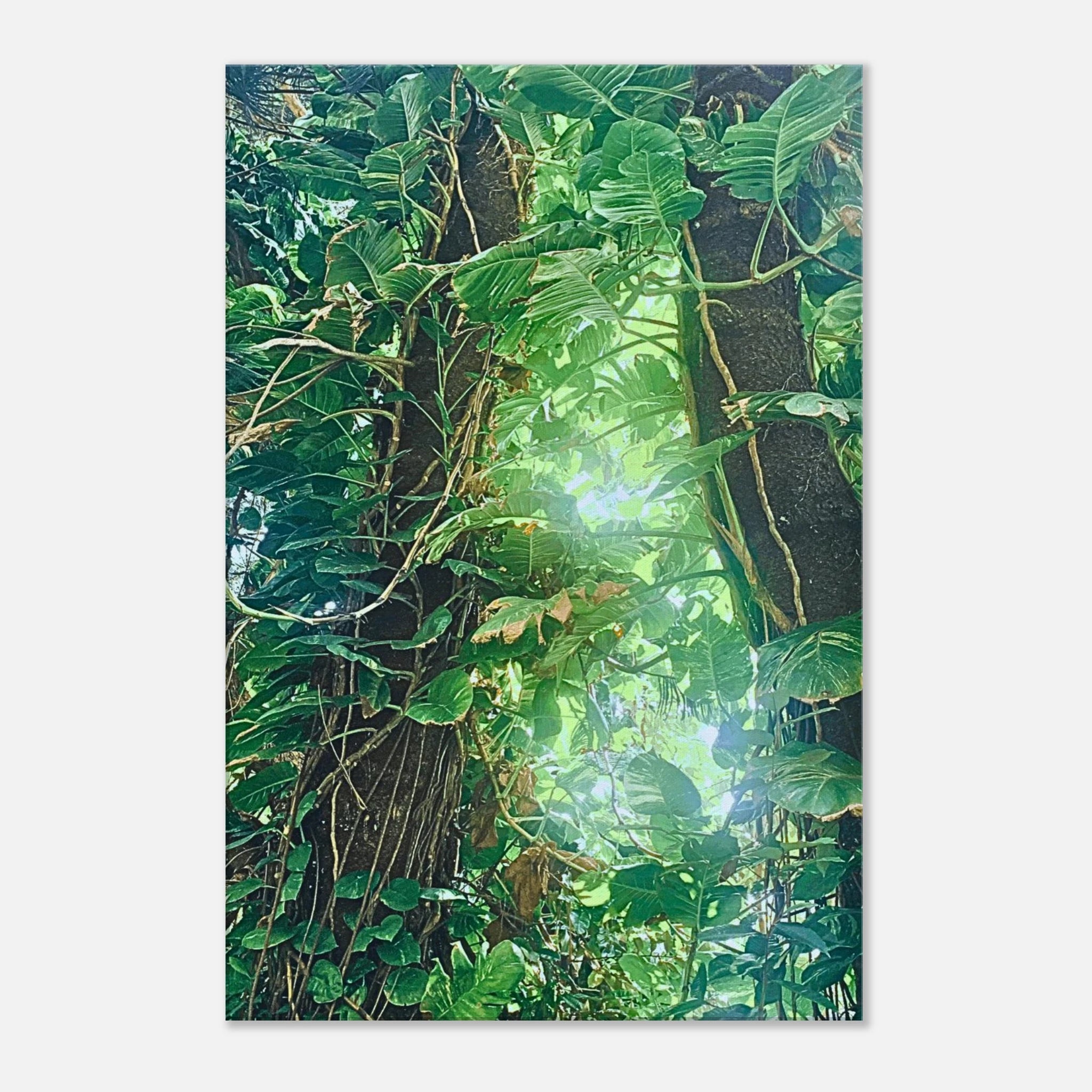 e7fc4d97-4941-495d-9b85-ecb49484c6b2