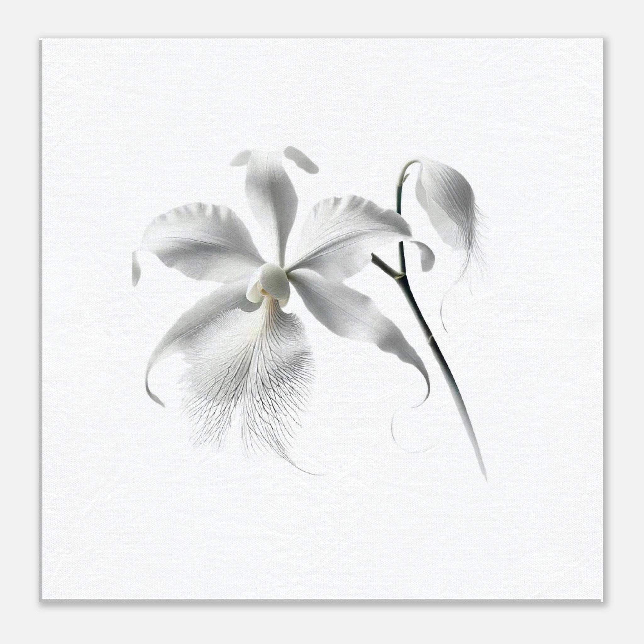 f66cc449-035b-4429-a8bc-1e66e8f7fcb5