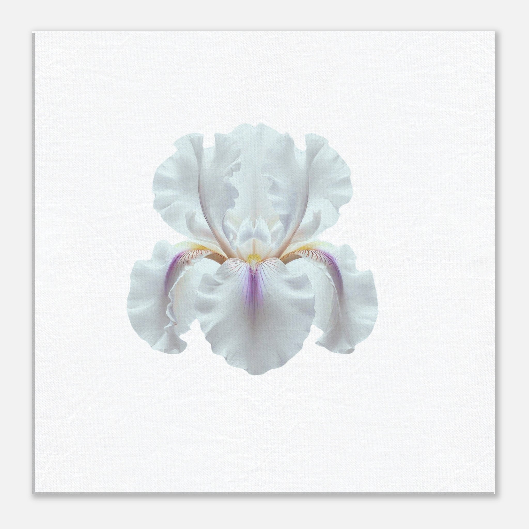 fe317dc0-2864-4187-a024-dbc5c25b26df